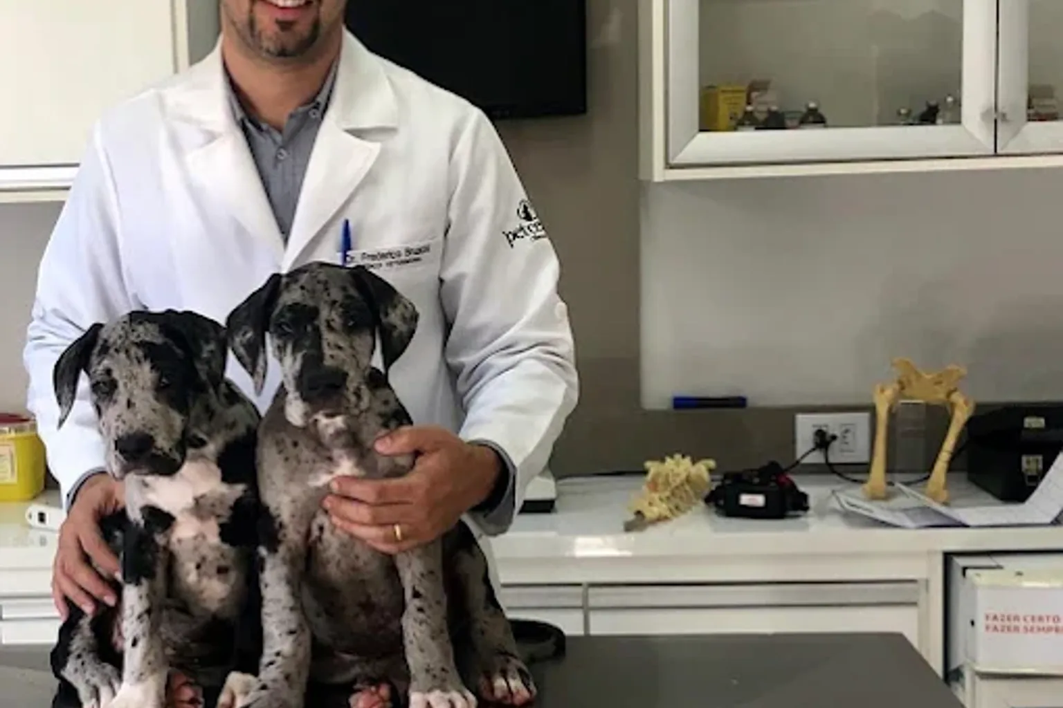 Veterinário da Petcenter com dois filhotes de dogue alemão